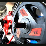 Диск обрезиненный 5 кг черно-красный AeroFit AFPLC